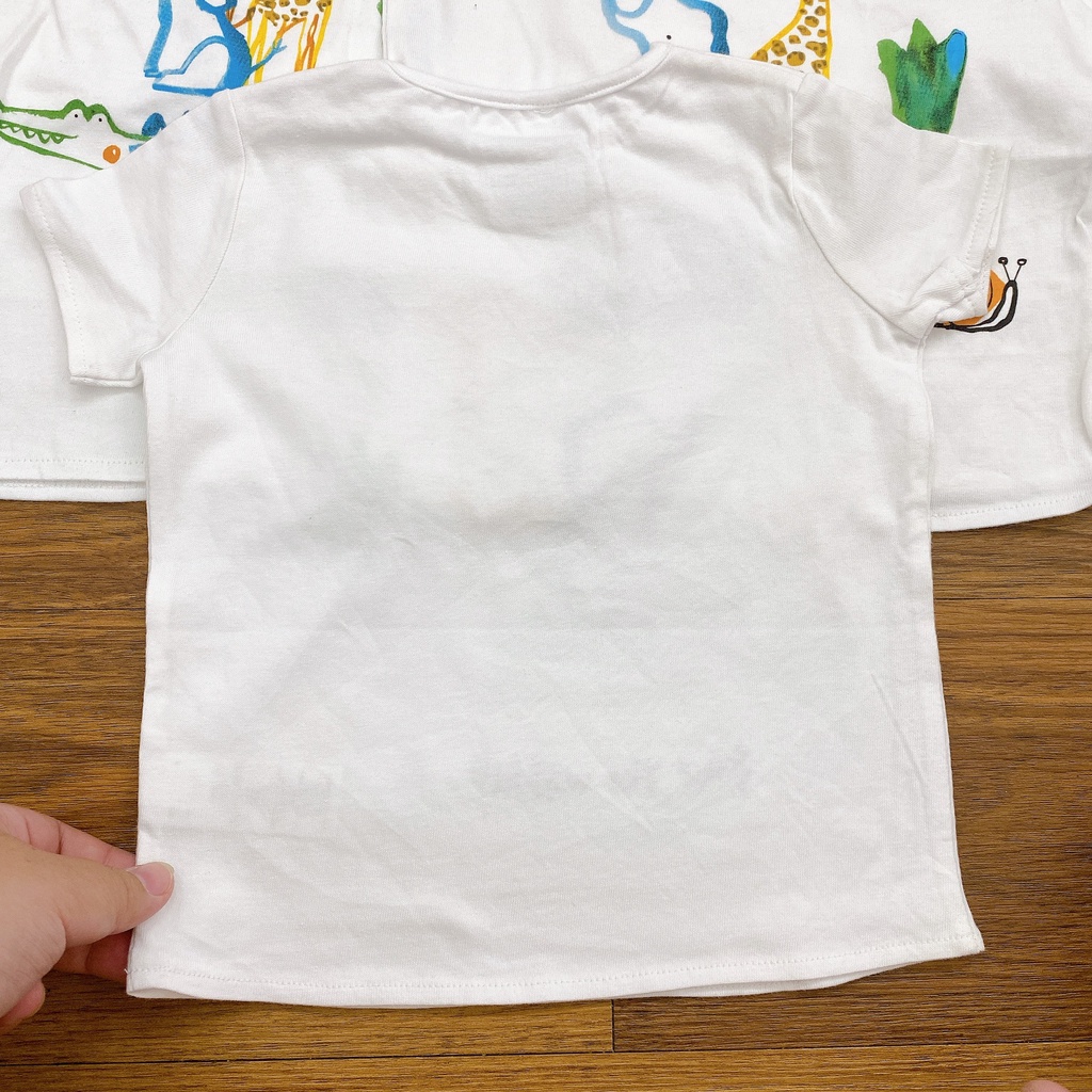 Áo thun nhí Bigbaby xuất xịn cho bé 7-10kg chất thun mềm co giãn thoải mái 0137