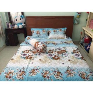 Bộ drap cotton poly hàn quốc (4 món) 1m4x2m