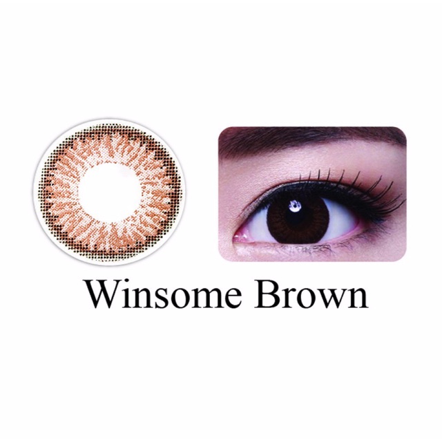 Kính áp tròng màu Winsome Brown 1.00 độ -10.000 độ  dùng 1 ngày FreshKon Alluring (Hộp 10 miếng)