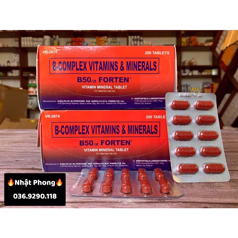B50/2 FORTEN -