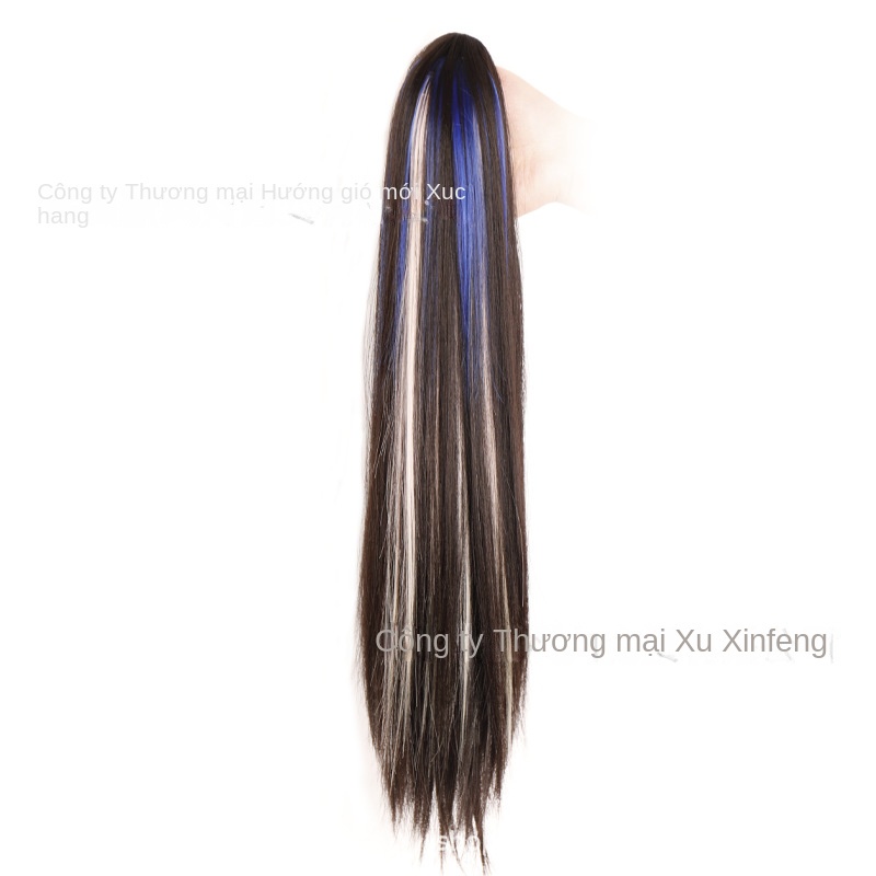 Tóc Giả Dài Thẳng Nhuộm Màu Thời Trang Cho Nữ