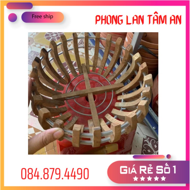 Chậu Gỗ Trồng LAN , Mẫu Sen - Chậu Trồng Lan Phi25, Phi 30, Phi 35, Phi46