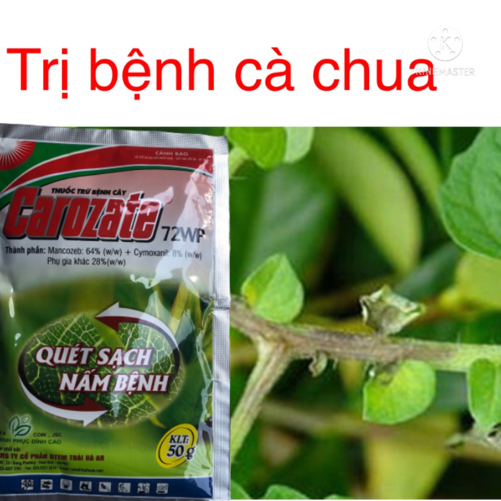 Chế phẩm đặc trị bệnh Sương mai dưa bầu bí, cà chua Quét sạch nấm bệnh Carozate 720WP 50g