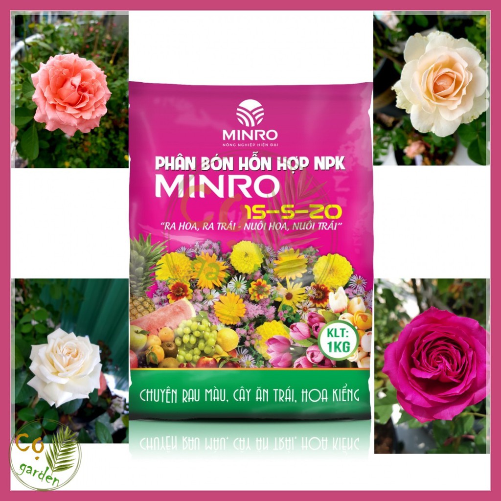 1kg - Phân Bón NPK MINRO 15-5-20+TE (1kg) - Ra Hoa, Ra Trái - Nuôi Hoa, Nuôi Trái - Cọ garden