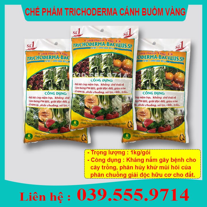 Nấm men ủ Trichoderma 1kg (ủ phân, tưới gốc phòng chống thối rễ, tuyễn trùng..)