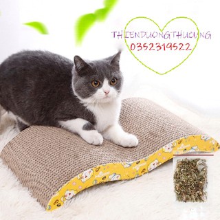 Bàn Cào Đồ Chơi Cho Mèo Kèm Catnip