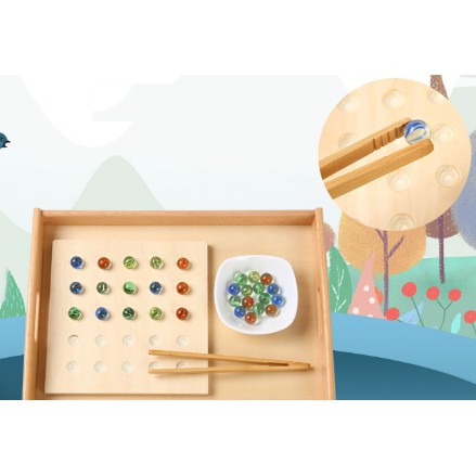 Bộ gắp bi luyện vận động tinh - Giáo cụ Montessori