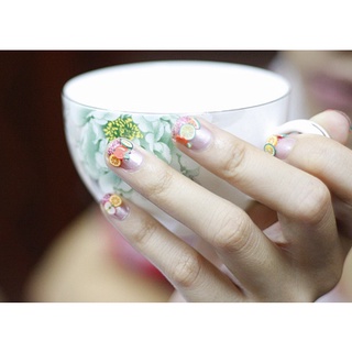 Trang trí móng - Đất Set Gắn Móng Trái Cây 12 Loại