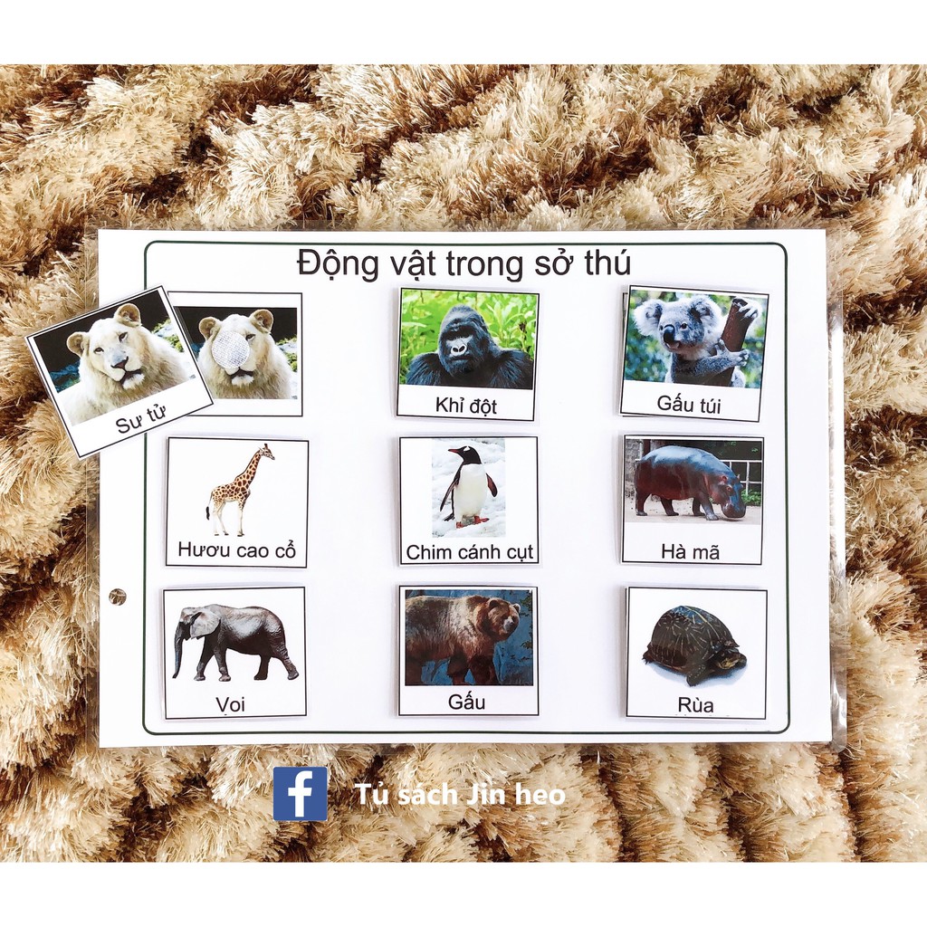 ❤ HỌC LIỆU cho bé] NHẬN BIẾT - Học liệu Montessori bóc dán, giúp bé phát triển tư duy