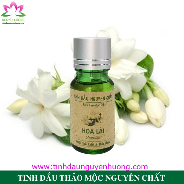 Tinh dầu hoa nhài 10ml 50ml thiên nhiên treo xe ô tô tại tphcm rẻ nhất hiện nay