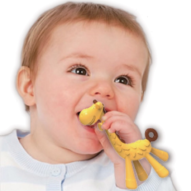 Gặm nướu hươu Giraffe Teether