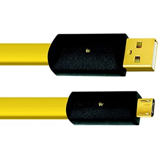 Dây usb WIREWORLD Chroma 8 USB 2.0 A to Micro B Audio Cables 1M