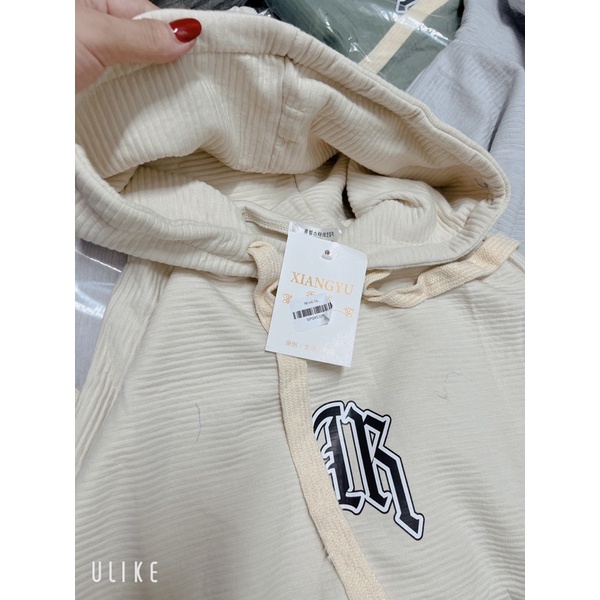 Áo Hoodie Mũ 2 Lớp Dày Dặn Form To Unisex Nhiều Màu