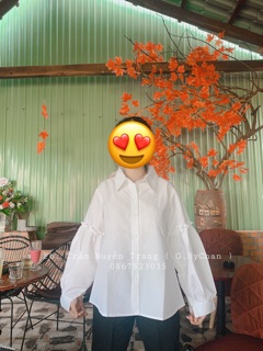 Áo sơmi trắng tay bèo
