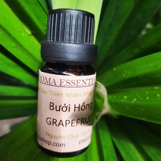 Tinh dầu bưởi hồng Grapefruite thiên nhiên thơm nhà