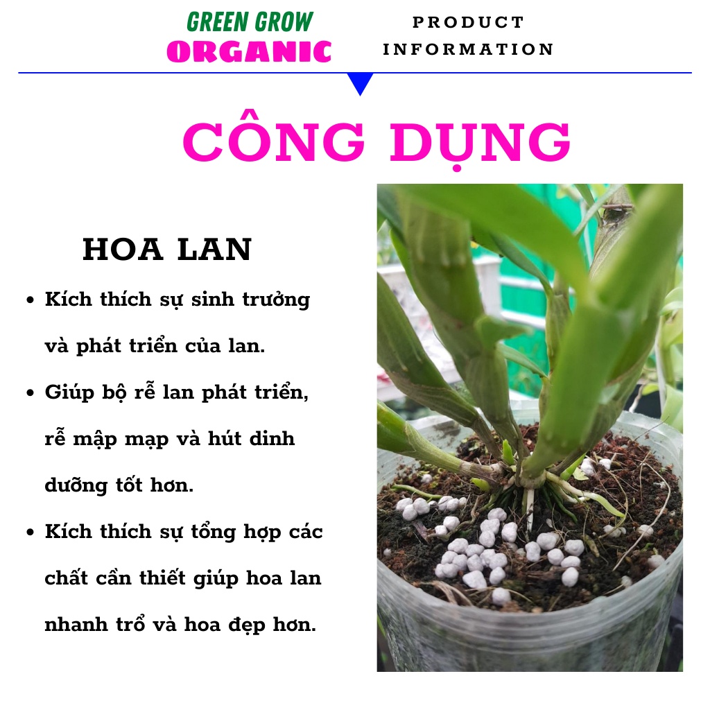 Dịch chuối trứng ủ HUMIC lên men Green Grow Organic phân bón hữu cơ kích rễ kích hoa cho hoa hồng và phong lan MS116