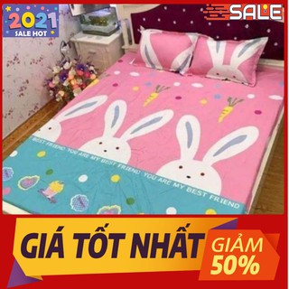 Bộ ga gối giường 2mx2m2