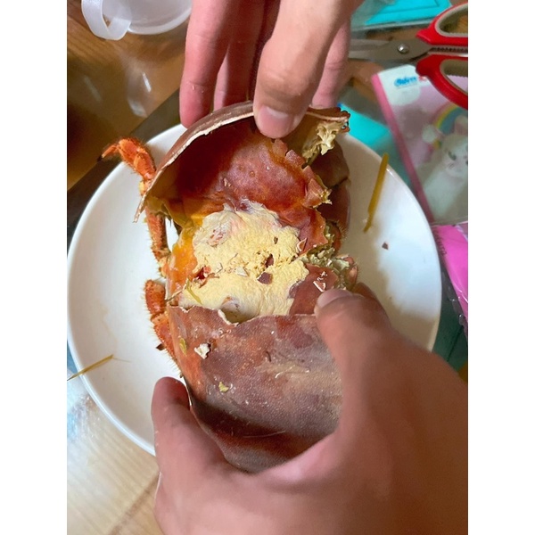 Cua Nâu Na-Uy size Lớn