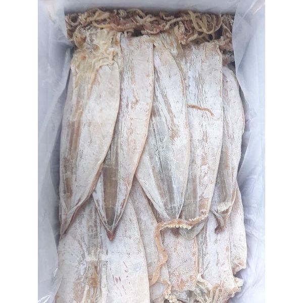 MỰC CÂU KHÔ VÂN DỒN,QUẢNG NINH LOẠI 1 size 12-14 con/kg BAO NGON,NGỌT THỊT,CÀNG NHAI CÀNG NGỌT.QUÀ BiẾU | BigBuy360 - bigbuy360.vn