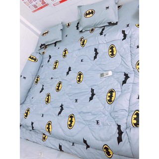 [CHĂN PHAO] Bộ Chăn Phao Ga Gối poly cotton [Siêu Nhẹ Siêu Ấm] [ Chăn phao + Ga chun + Vỏ gối nằm + Vỏ gối ôm ]