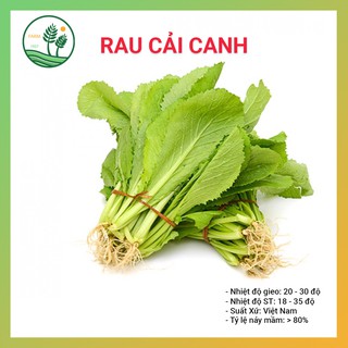 Hạt Giống Rau Cải Canh - 20Gr - 4000hạt - Thu Hoạch Sau 25 Ngày