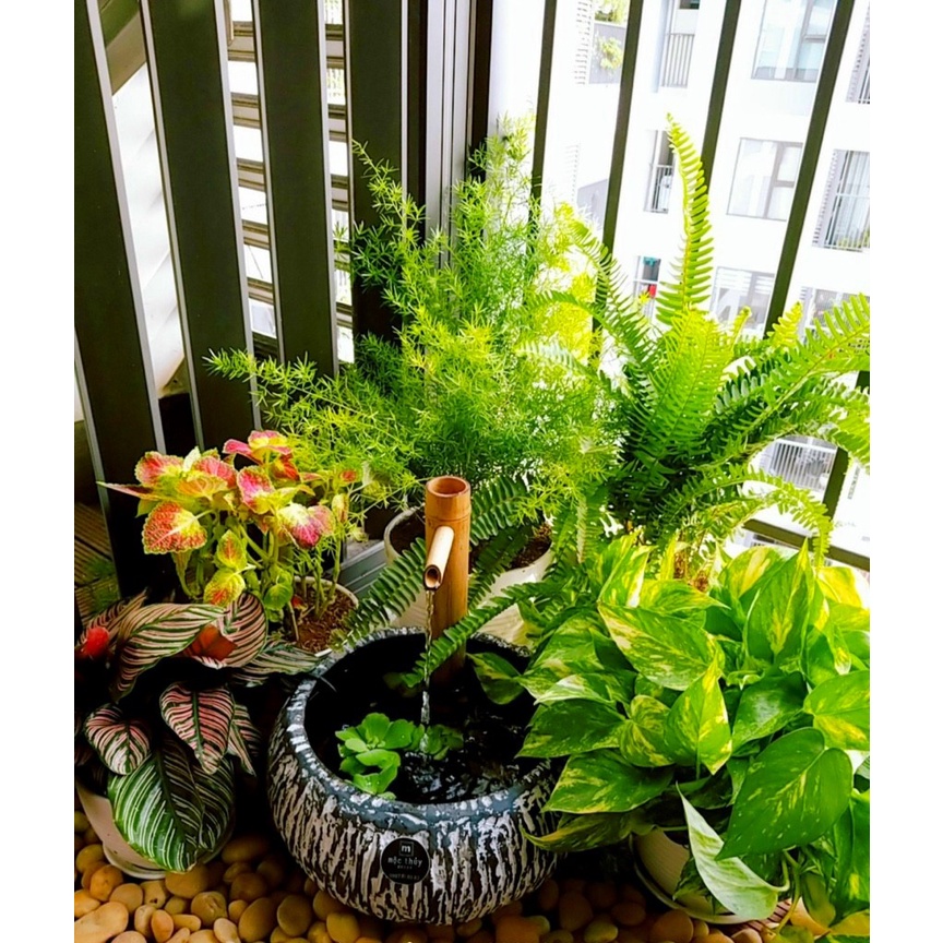 Bán sỉ mẫu thác tre-06