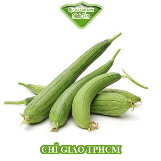 Mướp ngọt tươi ngon Đà lạt [CHỈ GIAO TP.HCM]