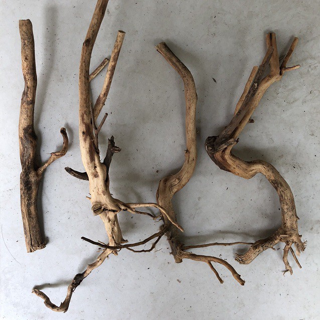 Lũa thủy sinh size vừa (loại tốt)