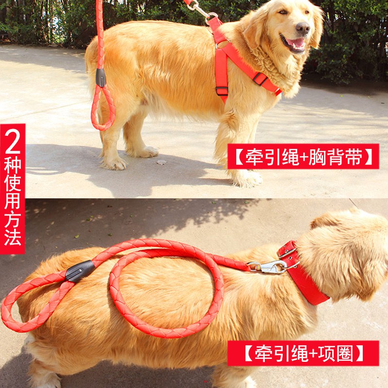 ▲✗■[Có thể bán riêng] Dây xích cho chó, vòng cổ chó cỡ lớn và vừa, đeo ngực, Teddy Golden Retriever, đồ dùng