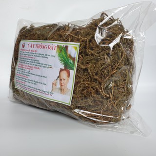 Cây thông đất phơi khô -1kg Hàng Công Ty Thảo dược số 1