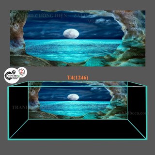 Tranh 3D dán bể cá cảnh hồ thuỷ sinh