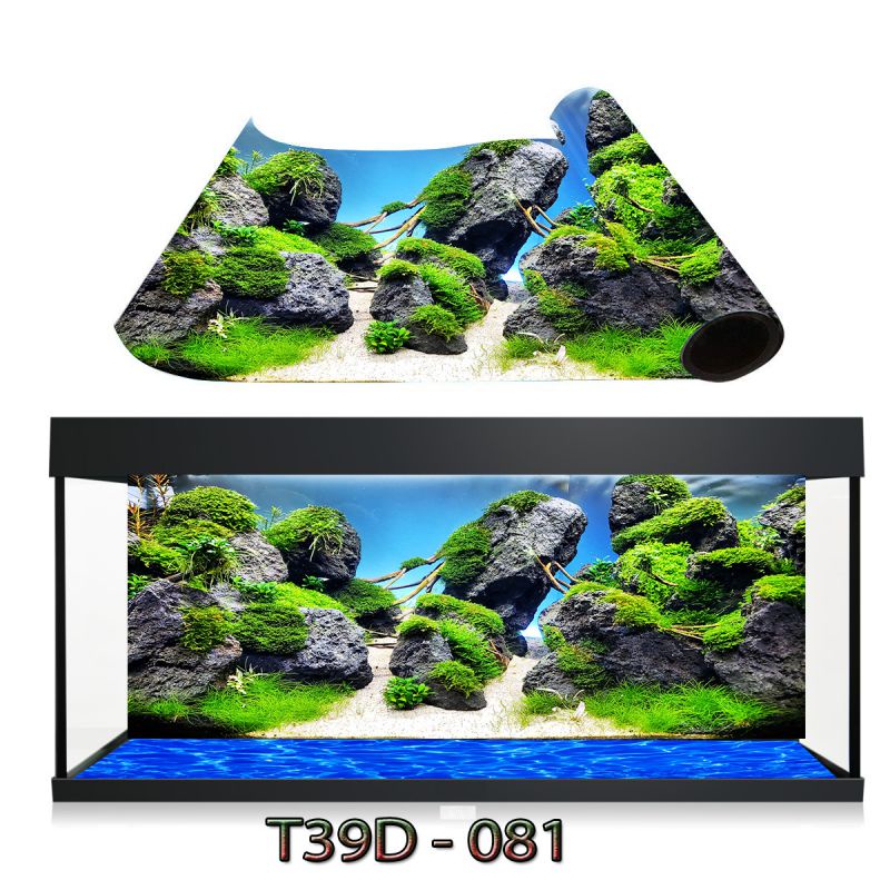 Tranh 3D dán bể cá cảnh , siêu đẹp siêu nét , tích hợp keo sẵn trên bề mặt tranh , nhận in kích thước theo yêu cầu
