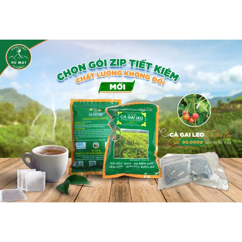 Trà túi lọc Cà gai leo hỗ trợ điều trị các bệnh về Gan - Túi zip mới - Giá tốt hơn