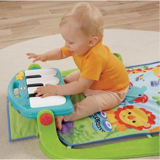 Thảm đàn Babyqinner BAO0291