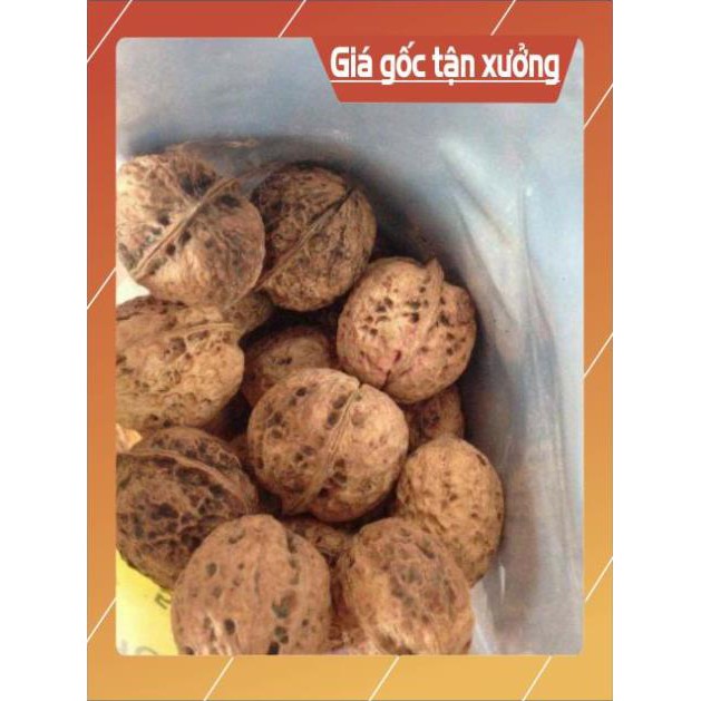 [giá tốt] 500g hạt óc chó rừng tây bắc