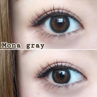 Lens Xám Tây ( 1,5 ĐỘ )