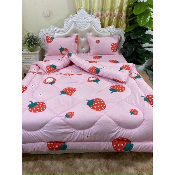 Trọn bộ 5 món ga gối chăn phao poly cotton có ruột bông dày chất lượng tốt