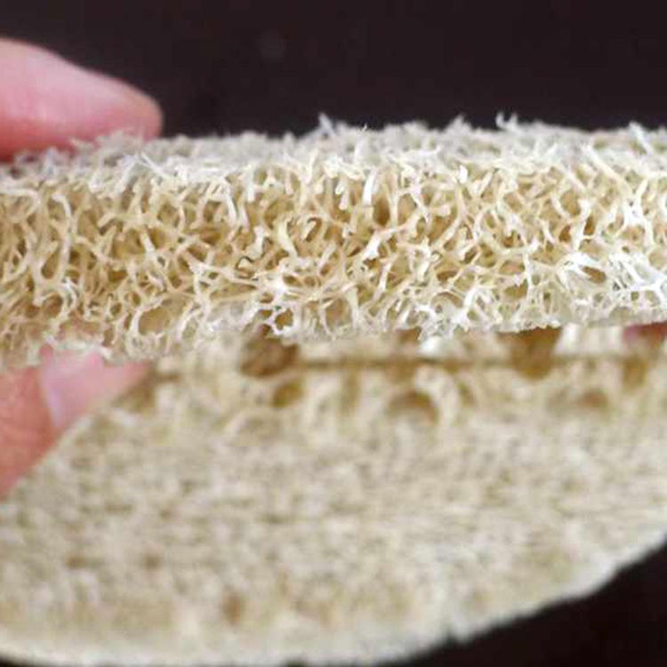 Xơ Mướ Rửa Chén Bát, Xơ Mướp Tự Nhiên Để Tắm