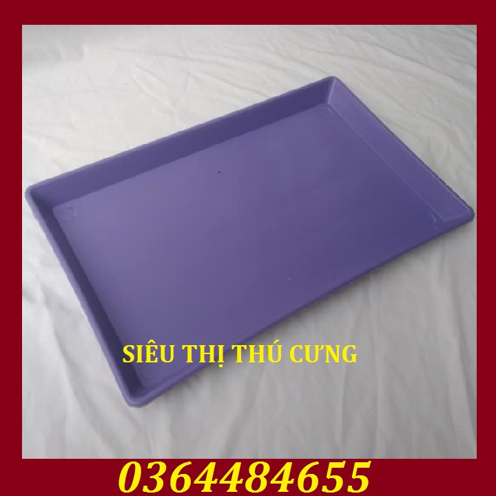 Lồng nuôi chim - Lồng Yến Phụng, Sóc, Thỏ cảnh Kích Thước 60cm x 40cm x 40cm Màu tím