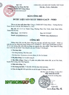 Dây thìa canh trị tiểu đường hiệu quả