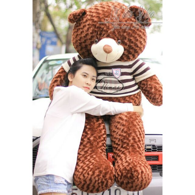 Gấu bông Teddy khổ 1m6