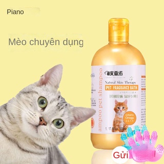 Sữa tắm cho mèo Đồ dùng hàng ngày chuyên dụng cho thú cưng trị rận và bọ chét