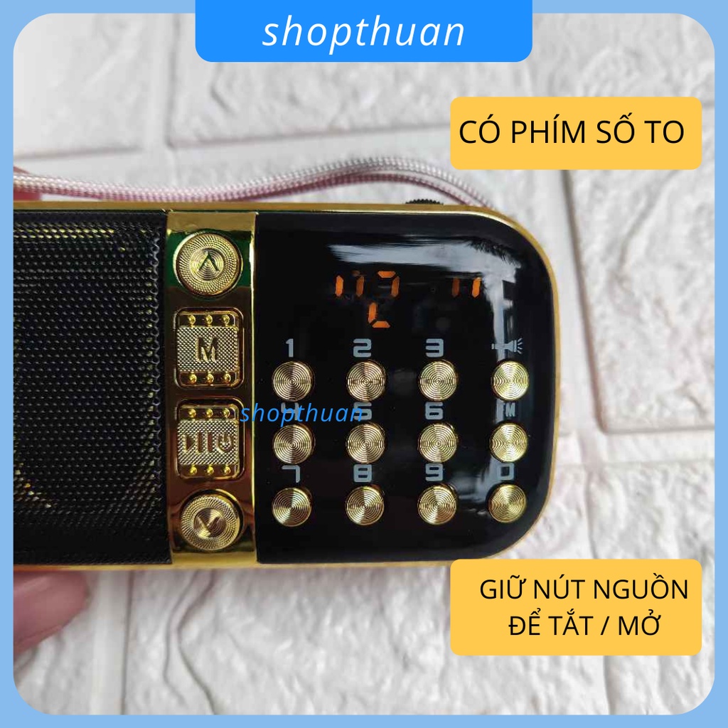 Loa Craven CR-861 2 pin sạc có đèn pin, nghe thẻ nhớ, USB 2.0, FM Radio