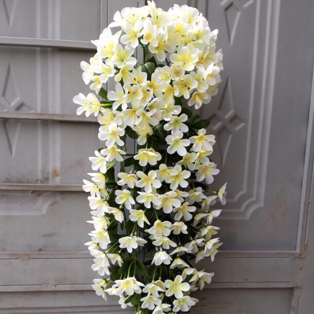 Chùm hoa jun dáng rủ siêu xinh - HN