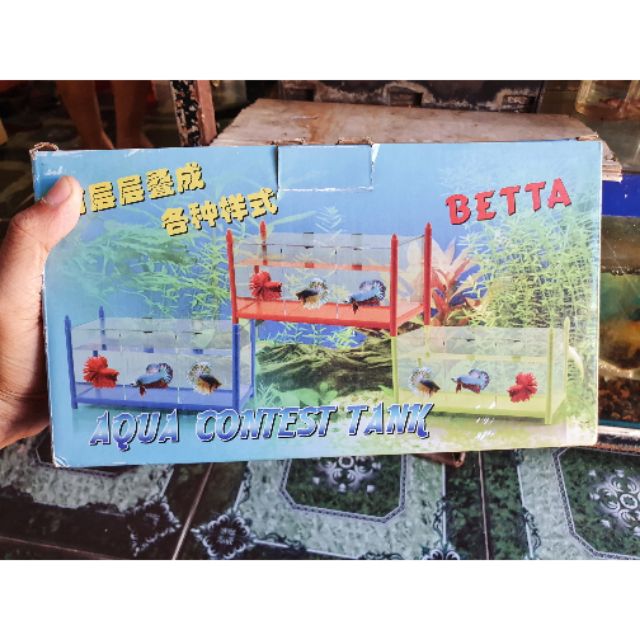 BỂ NHỰA NUÔI LIA THIA 3 NGĂN DÀI 30CM RỘNG 12CM CAO 15CM