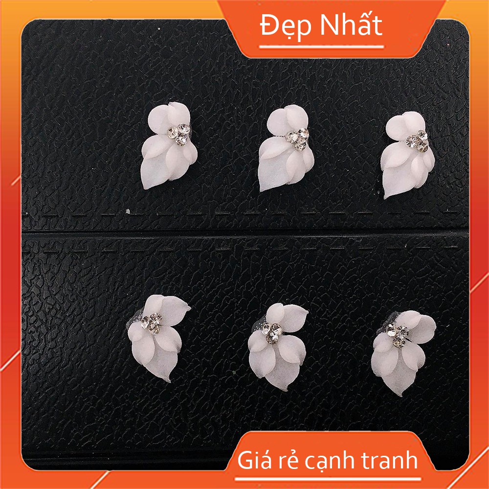 hoa bột nail- hoa góc móng