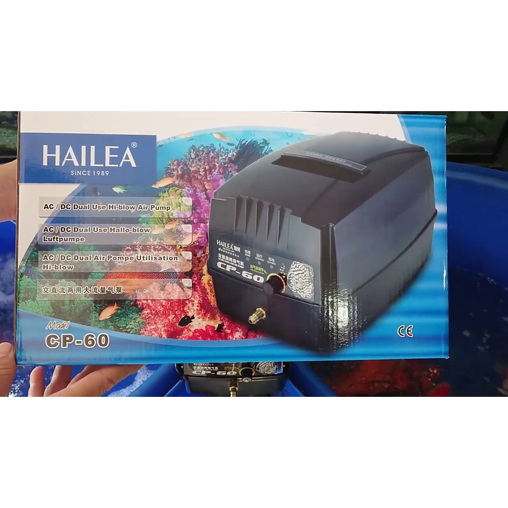 Máy sủi tích điện Hồ Koi Hailea CP 60