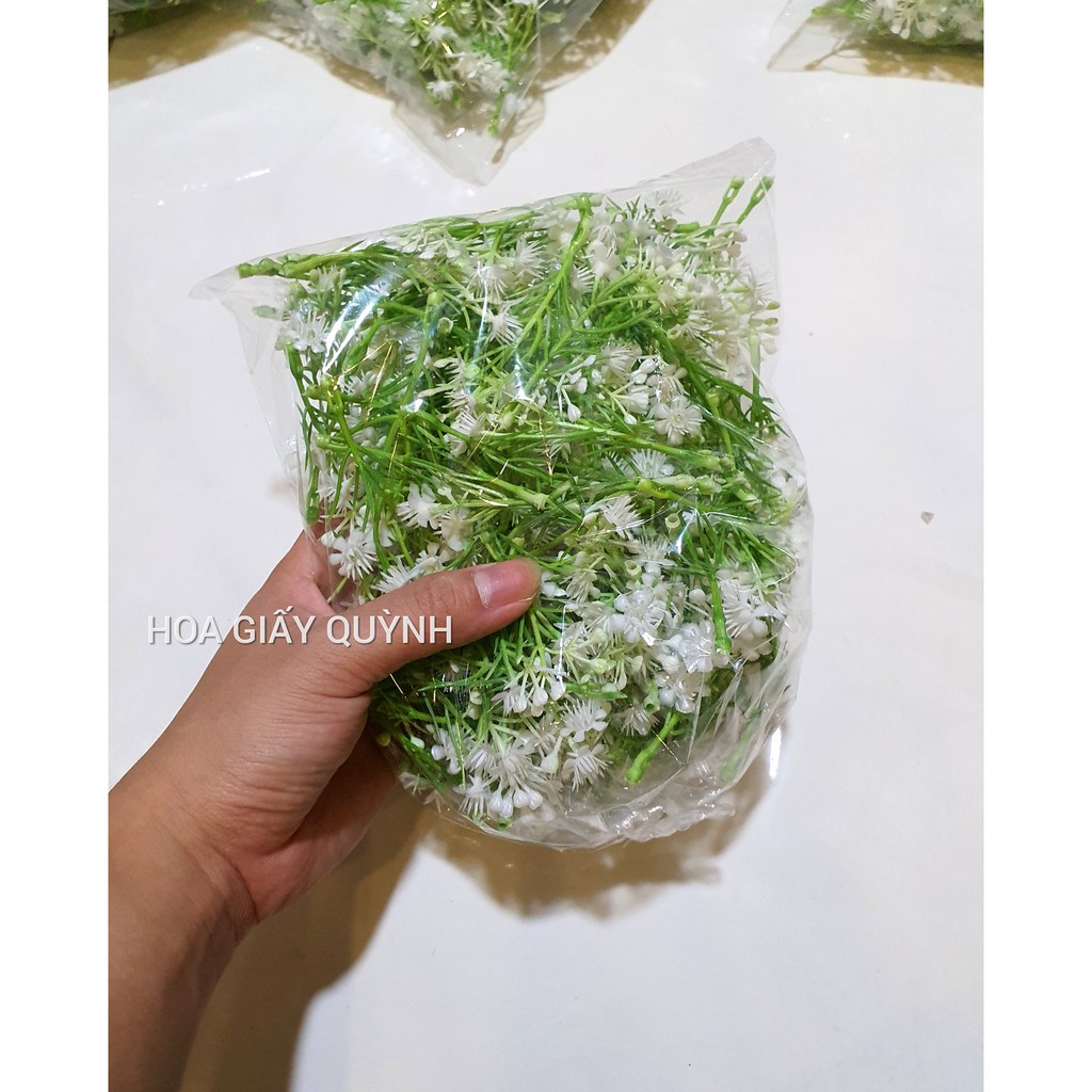 100gr cỏ điểm đầu bông bi
