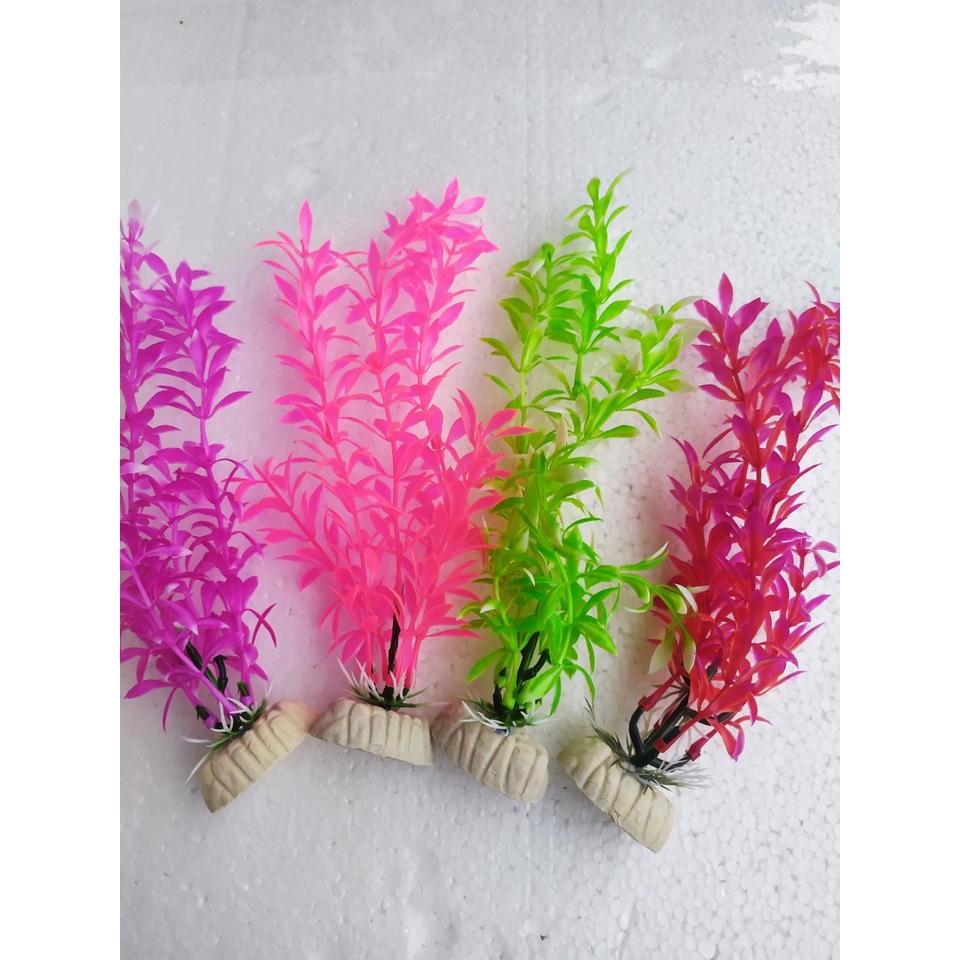 Cây Rong cao 22 cm Trang Trí Hồ Cá, Bể Cá-Hòn Non Bộ,..