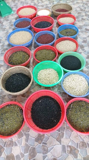 1kg NGŨ CỐC NỘI TIẾT TỐ MẸ TÔM 17 LOẠI HẠT